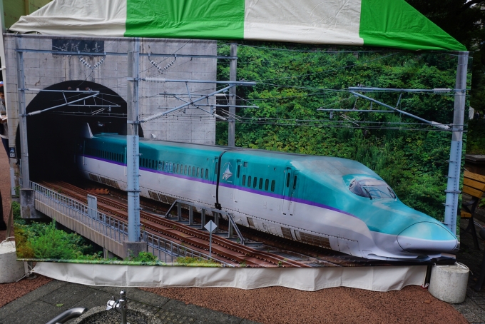 鉄道乗車記録の写真:旅の思い出(16)        「JR北海道新幹線車両」