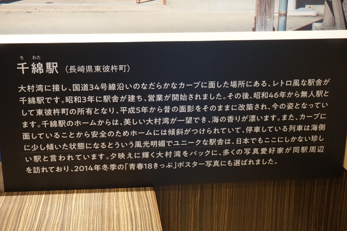 鉄道乗車記録の写真:旅の思い出(22)        「スキマデパート千綿駅詳細」