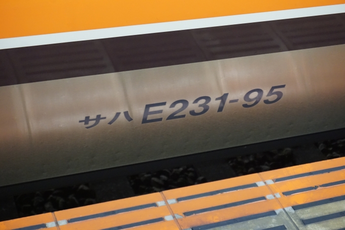 鉄道乗車記録の写真:車両銘板(3)        「JR東日本 サハE231-95」