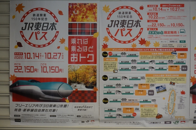 鉄道乗車記録の写真:駅舎・駅施設、様子(11)        「JR東日本パスのポスター」