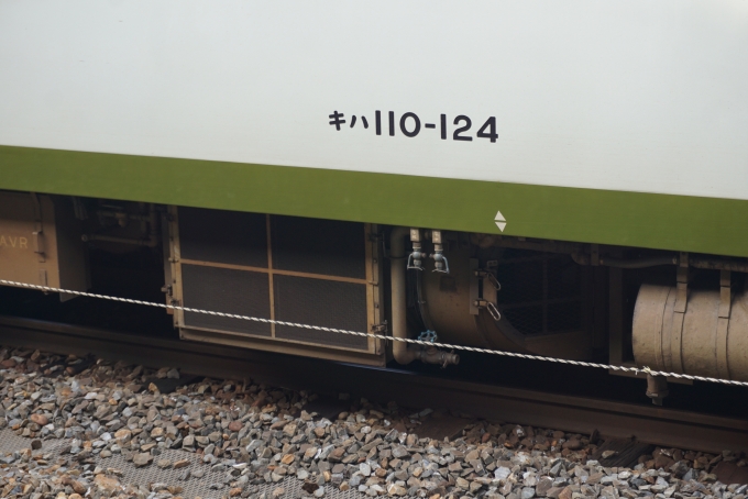 鉄道乗車記録の写真:車両銘板(3)        「JR東日本 キハ110-124」