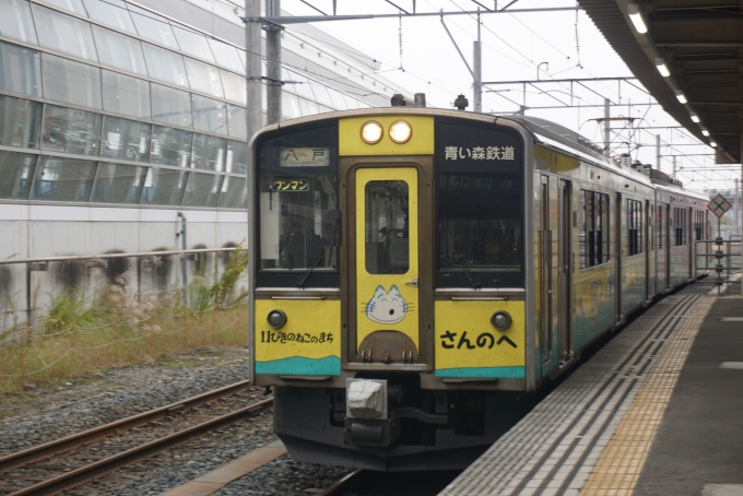 鉄道乗車記録の写真:乗車した列車(外観)(3)        「乗車前に撮影
三戸町によるラッピング電車「11ぴきのねこラッピングトレイン」」