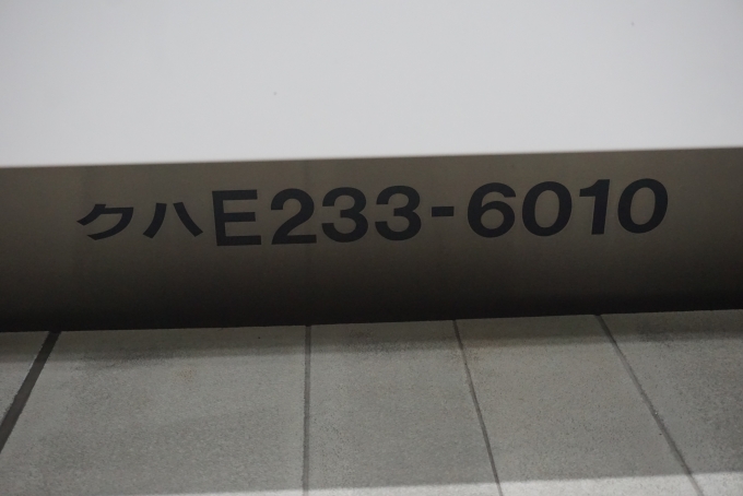鉄道乗車記録の写真:車両銘板(4)        「JR東日本 クハE233-6010」