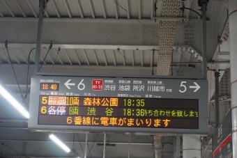 菊名駅から渋谷駅の乗車記録(乗りつぶし)写真
