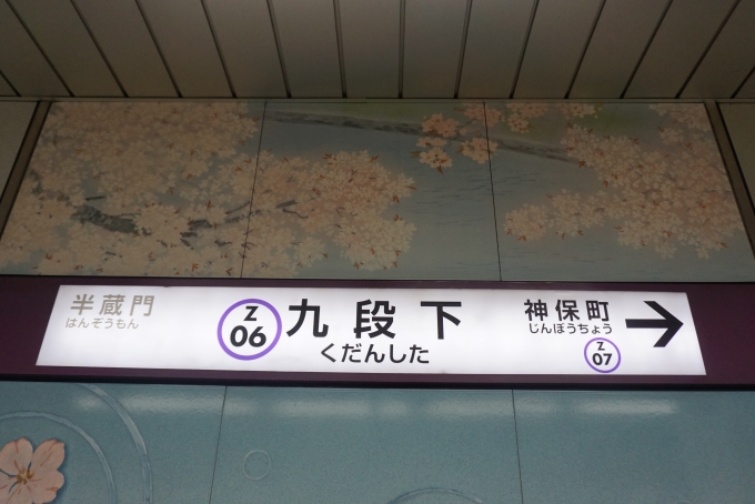 鉄道乗車記録の写真:駅名看板(1)          「半蔵門線九段下駅」
