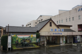 大雄山駅から五百羅漢駅の乗車記録(乗りつぶし)写真