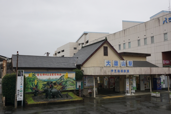 鉄道乗車記録の写真:駅舎・駅施設、様子(1)        「大雄山駅駅舎」