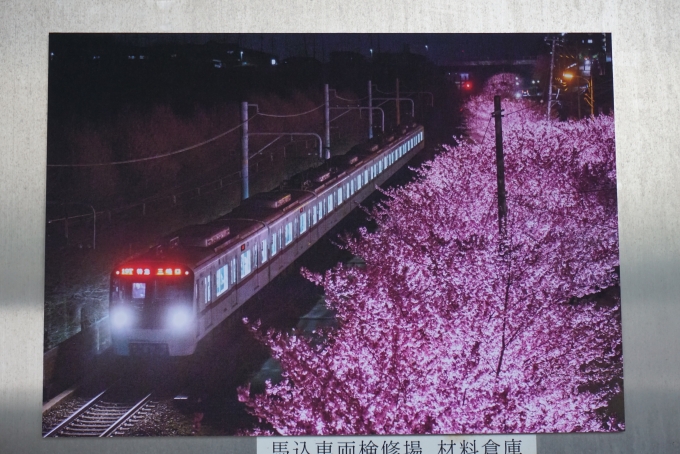 鉄道乗車記録の写真:旅の思い出(18)        「東京都交通局5300形電車の写真」
