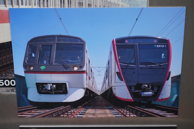 鉄道乗車記録の写真:旅の思い出(21)        「東京都交通局 5315-1と東京都交通局 5512-1の写真」