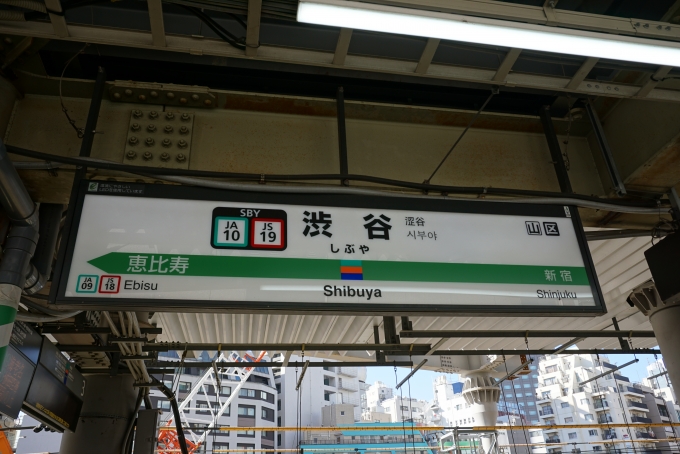 鉄道乗車記録の写真:駅名看板(2)        「JR渋谷駅」