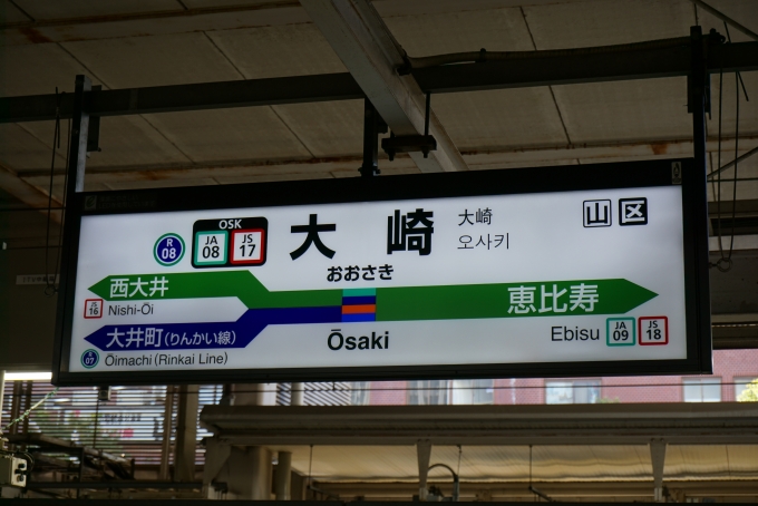 鉄道乗車記録の写真:駅名看板(4)        「JR大崎駅」