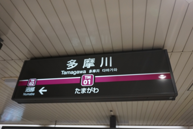 鉄道乗車記録の写真:駅名看板(4)        「多摩川線多摩川駅」