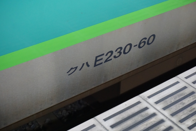 鉄道乗車記録の写真:車両銘板(3)        「JR東日本 クハE230-60」