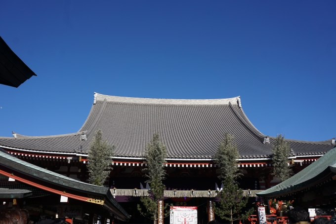 鉄道乗車記録の写真:旅の思い出(5)        「浅草寺の本堂」