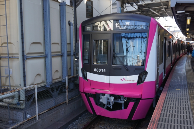 鉄道乗車記録の写真:乗車した列車(外観)(9)        「新京成電鉄 80016」