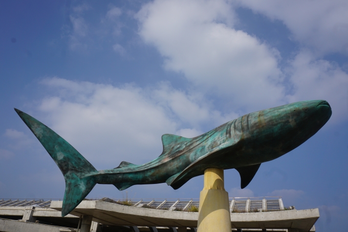 鉄道乗車記録の写真:旅の思い出(36)        「沖縄美ら海水族館入口にある魚の模型」