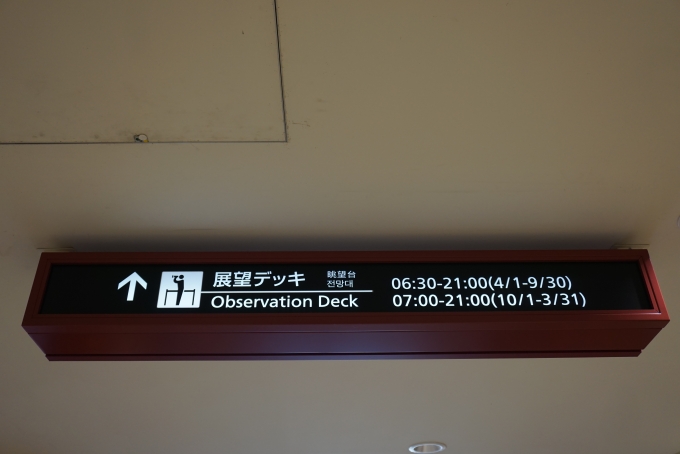 鉄道乗車記録の写真:旅の思い出(11)        「成田空港展望デッキ」