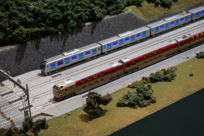 鉄道乗車記録の写真:旅の思い出(18)        「ヨコハマ鉄道模型フェスタ2023の西武40000系電車とサンライズ285系寝台特急模型」