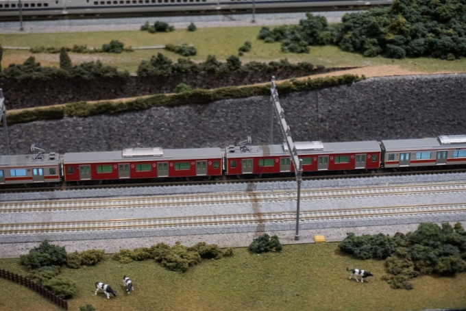 鉄道乗車記録の写真:旅の思い出(32)        「ヨコハマ鉄道模型フェスタ2023の東急電鉄5050系4000番台Qシート車2両模型」