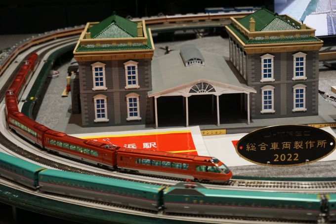 鉄道乗車記録の写真:旅の思い出(34)        「ヨコハマ鉄道模型フェスタのロマンスカー模型」