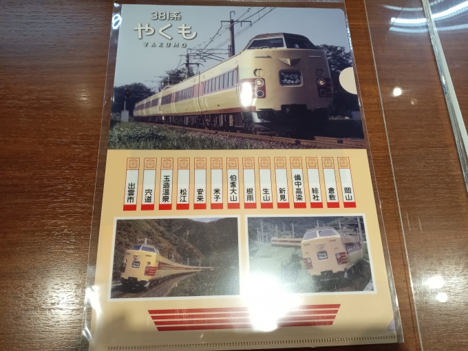 鉄道乗車記録の写真:鉄道グッズ(44)        「ヨコハマ鉄道模型フェスタ2023で購入したやくも国鉄色クリアファイル表面」