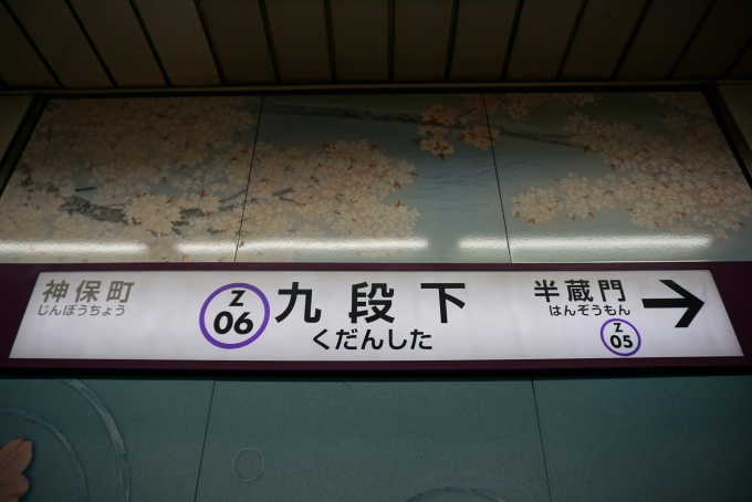 鉄道乗車記録の写真:駅名看板(5)        「半蔵門線九段下駅」