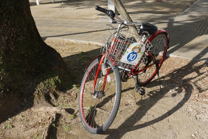 鉄道乗車記録の写真:旅の思い出(11)        「レンタサイクルで借りた自転車」