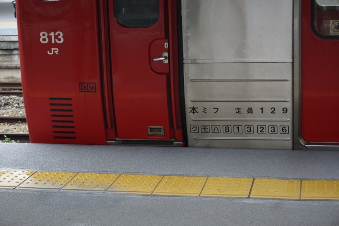 鉄道乗車記録の写真:車両銘板(3)        「JR九州 クモハ813-236」