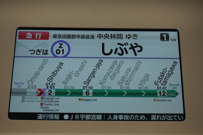 鉄道乗車記録の写真:車内設備、様子(4)        「次は渋谷」