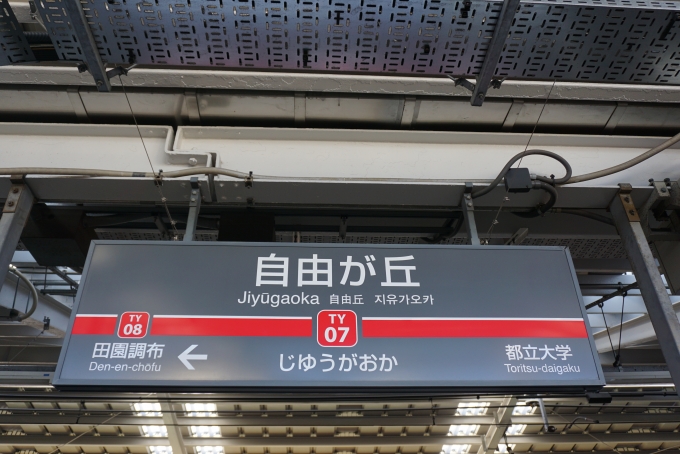 鉄道乗車記録の写真:駅名看板(6)        「東横線自由が丘駅」