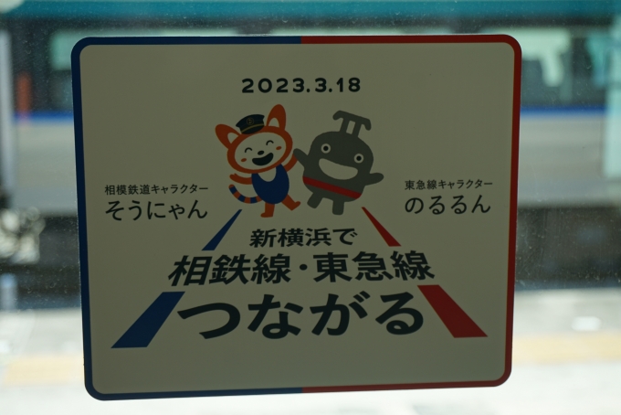 鉄道乗車記録の写真:車内設備、様子(7)        「新横浜で相鉄線と東急線がつながる」