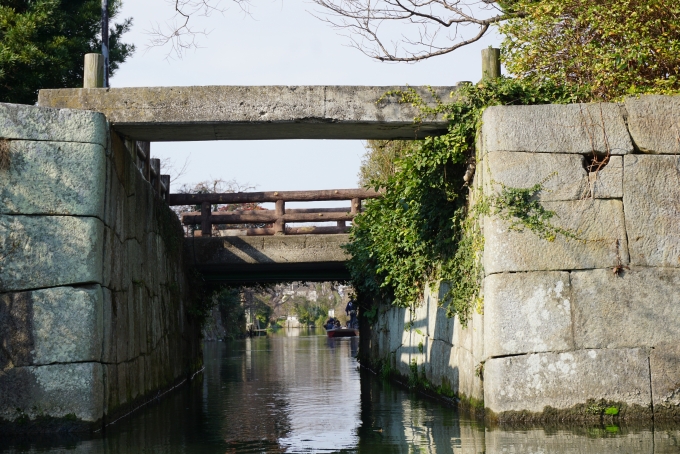 鉄道乗車記録の写真:旅の思い出(19)        「柳川川下りの風景２」