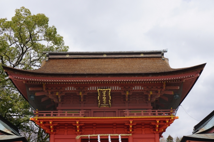鉄道乗車記録の写真:旅の思い出(12)        「浅間神社桜門」