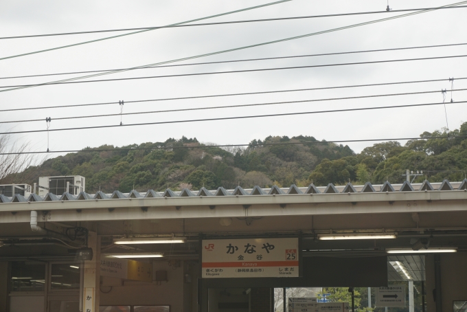 鉄道乗車記録の写真:駅名看板(7)        「金谷駅」