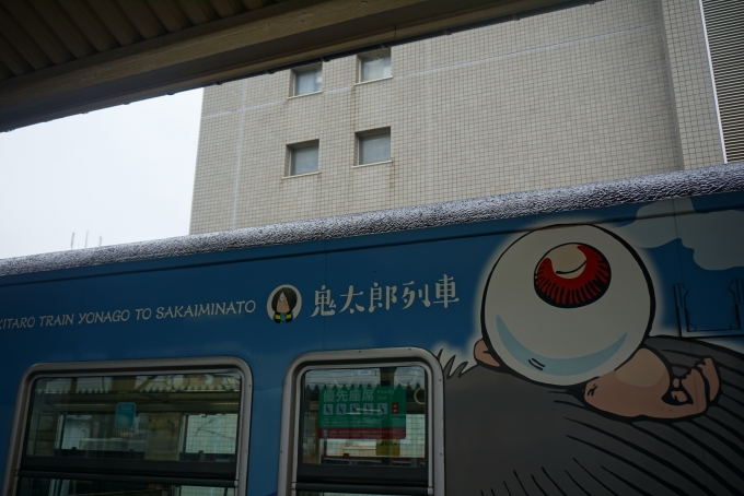 鉄道乗車記録の写真:乗車した列車(外観)(22)        「JR西日本 キハ40 2115鬼太郎列車」