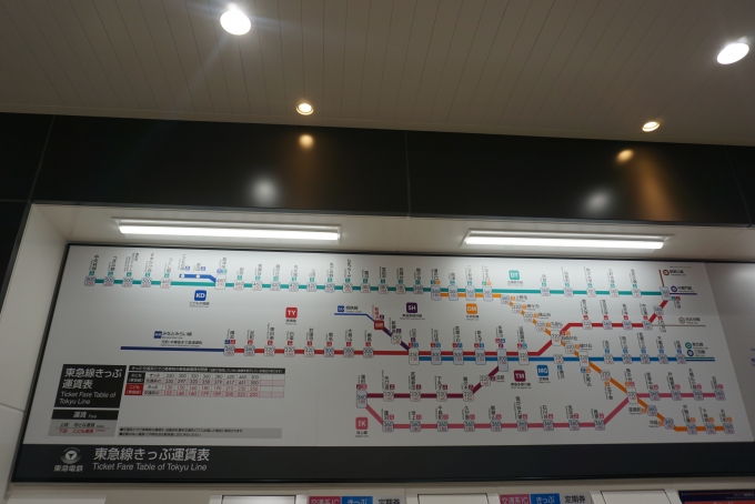 鉄道乗車記録の写真:駅舎・駅施設、様子(28)        「新横浜駅東急線きっぷ運賃」