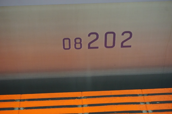 鉄道乗車記録の写真:車両銘板(3)        「東京メトロ 08-202」