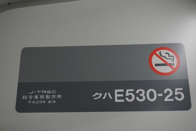 鉄道乗車記録の写真:車両銘板(3)        「JR東日本 クハE530-25」