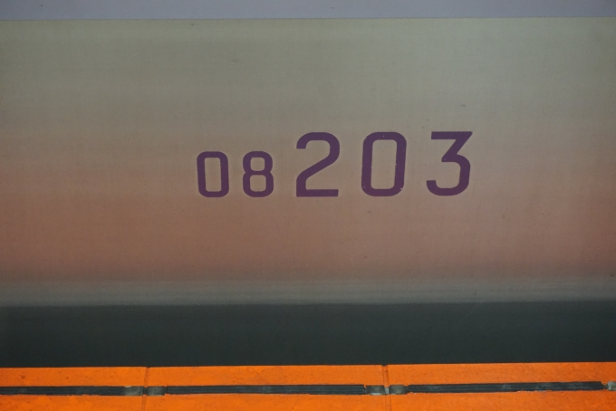 鉄道乗車記録の写真:車両銘板(4)        「東京メトロ 08-203」