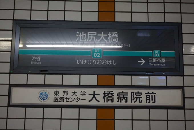 鉄道乗車記録の写真:駅名看板(5)        「池尻大橋駅」