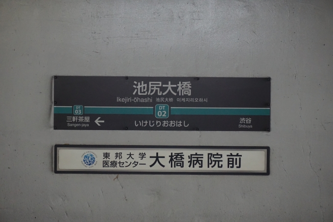 鉄道乗車記録の写真:駅名看板(1)        「池尻大橋駅」