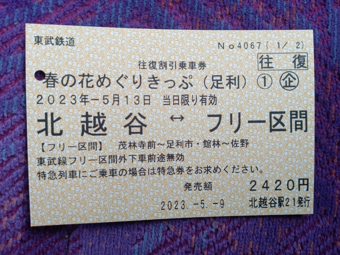 鉄道乗車記録の写真:きっぷ(6)        「春の花めぐりきっぷの往復割引乗車券」