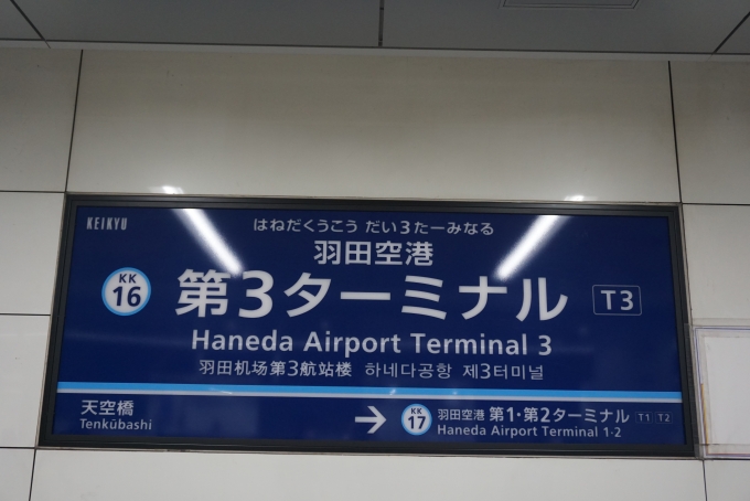 鉄道乗車記録の写真:駅名看板(8)        「羽田空港第３ターミナル駅」