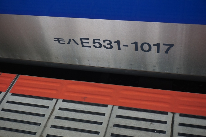 鉄道乗車記録の写真:車両銘板(5)        「JR東日本 モハE531-1017」