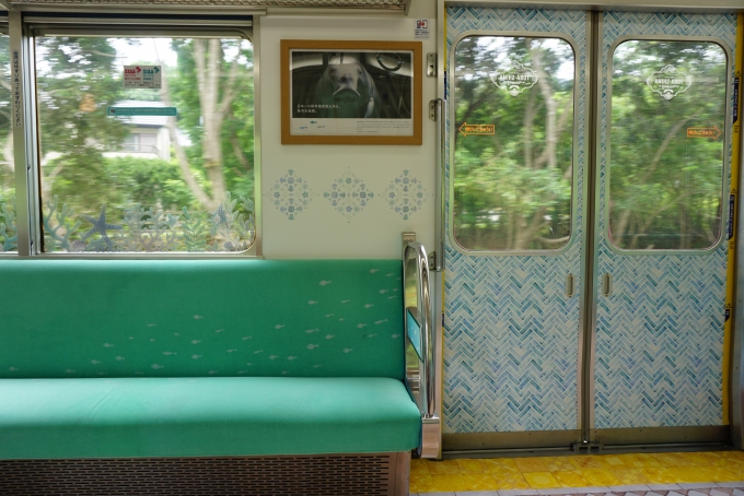 鉄道乗車記録の写真:車内設備、様子(8)        「近畿日本鉄道 1268の座席」