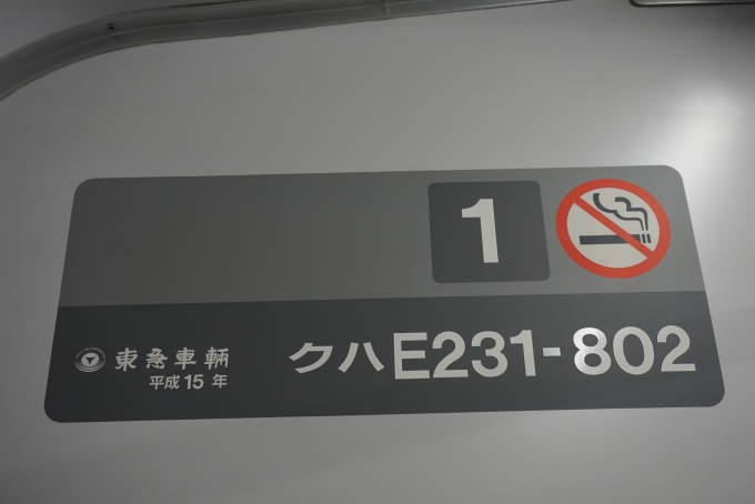 鉄道乗車記録の写真:車両銘板(3)        「JR東日本 クハE231-802」