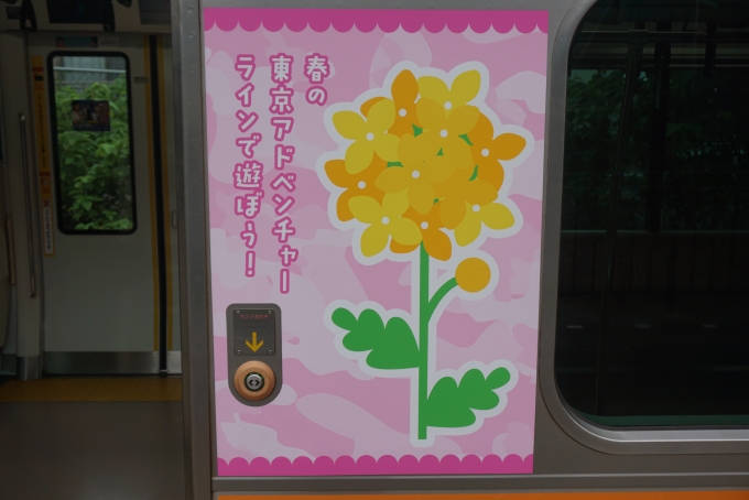 鉄道乗車記録の写真:乗車した列車(外観)(11)        「春の東京アドベンチャーラインで遊ぼう」