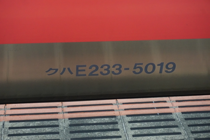 鉄道乗車記録の写真:車両銘板(2)        「JR東日本 クハE233-5019」