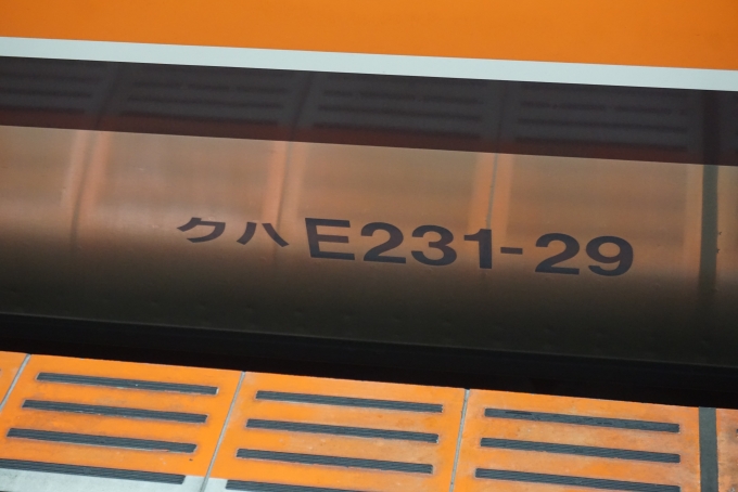 鉄道乗車記録の写真:車両銘板(2)        「JR東日本 クハE231-29」