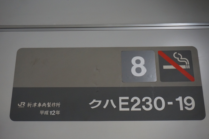 鉄道乗車記録の写真:車両銘板(3)        「JR東日本 クハE230-19」